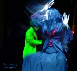 Ольга Арефьева и «Ковчег». Фото Алексея Барского и Goldy с представления "Рояль-Ковчега" 25 сентября 2004 в ЦДХ.