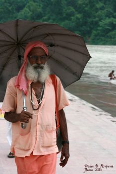 Фото Ольги Арефьевой. Фотографии из поездки в Индию (август-сентябрь 2008)