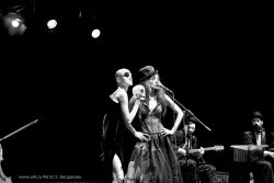 Фотографии с концерта «Кабаре-Ковчега» 11 октября 2013 в Музее-театре «Булгаковский Дом» (Москва). Фото Екатерины Богдановой.